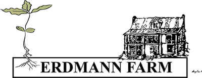 Erdmann-house2